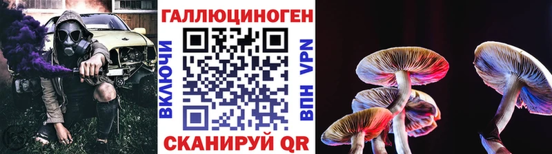 Псилоцибиновые грибы MAGIC MUSHROOMS  мега маркетплейс  Чапаевск 